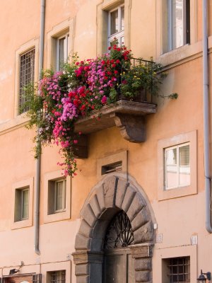CRW_4682.jpg