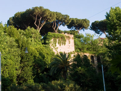 CRW_4708.jpg