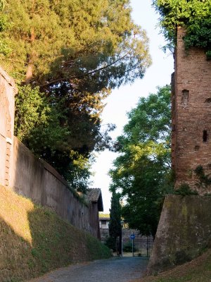 CRW_4717.jpg
