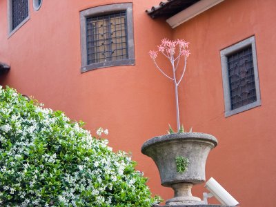 CRW_4725.jpg