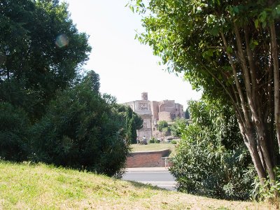 CRW_4764.jpg