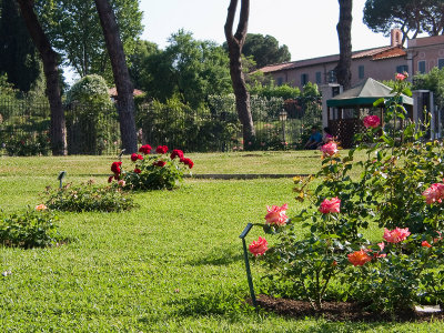 CRW_4790.jpg