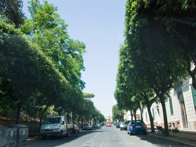 CRW_4954.jpg