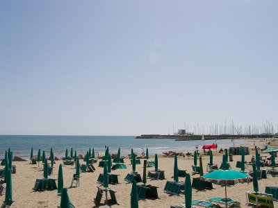 CRW_4967.jpg