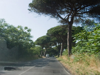 CRW_4972.jpg