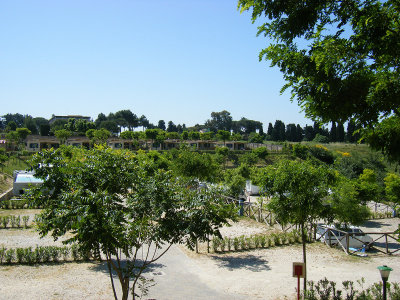 DSCF6365.jpg