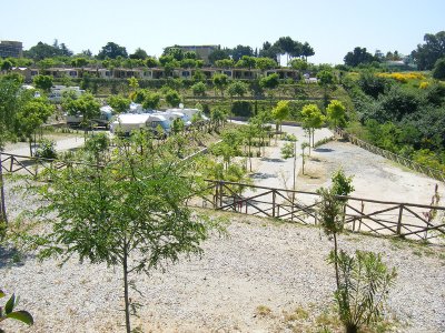 DSCF6369.jpg