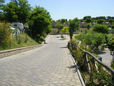 DSCF6372.jpg