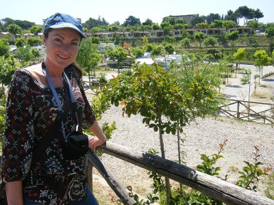 DSCF6373.jpg