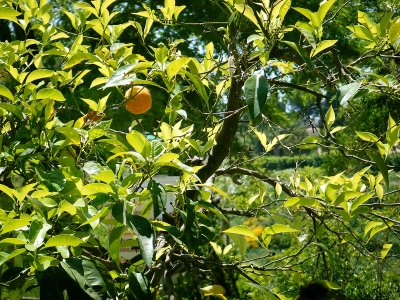 DSCF6389.jpg