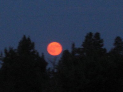 g1/84/186284/3/103521256.nLWnWzgB.jpg