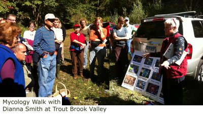 10/02/10 Trout Brook Valley Nature Preserve, an Aspetuck Land Trust preserve in Eston CT