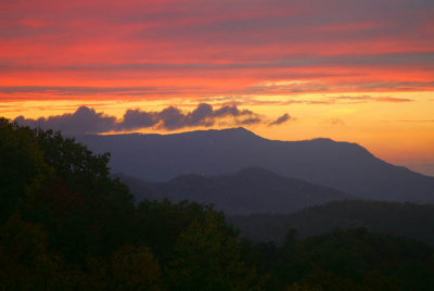 Cabin View at Dusk