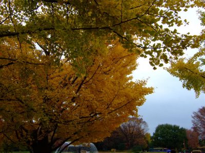 DSCF3041 (Large).JPG