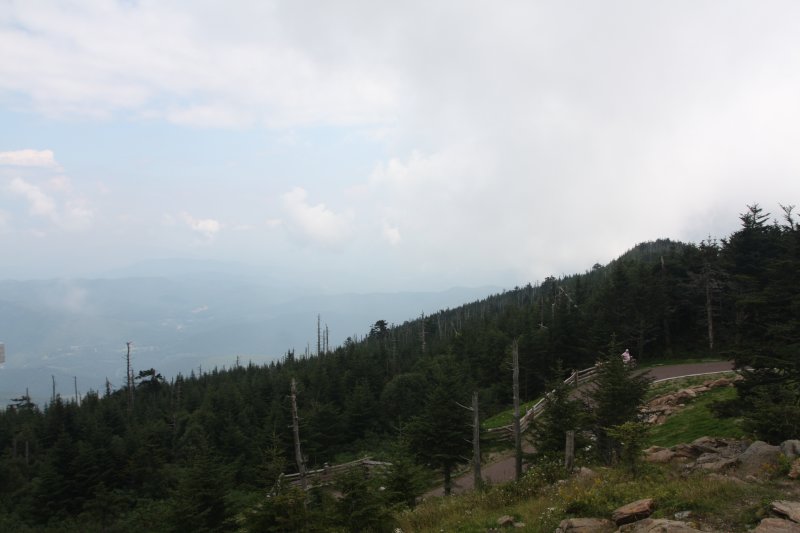 IMG_0131.JPG
