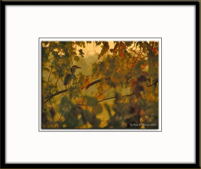 PAS0740.tif