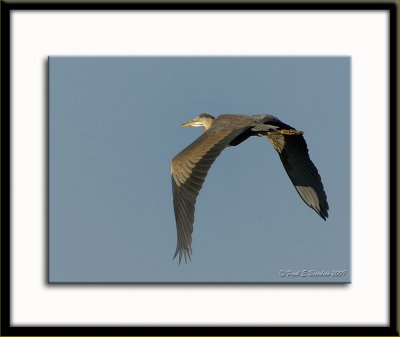 _ACT5882.tif
