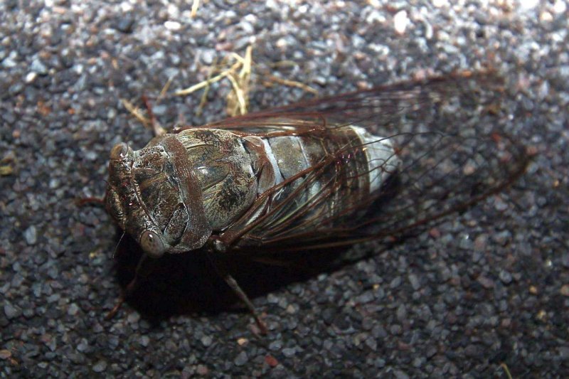 AD0D5548.jpg