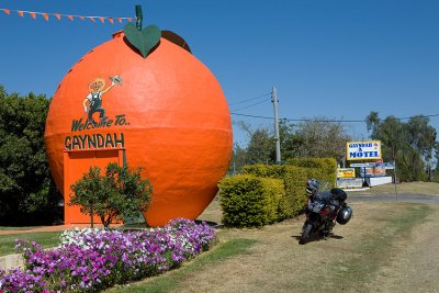 The Big Orange ~ Gayndah