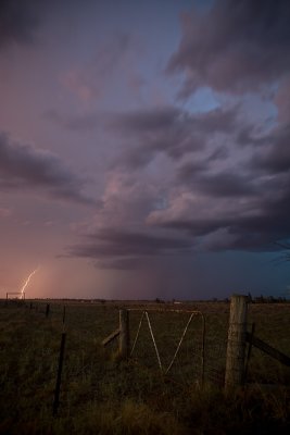 Roma Storms