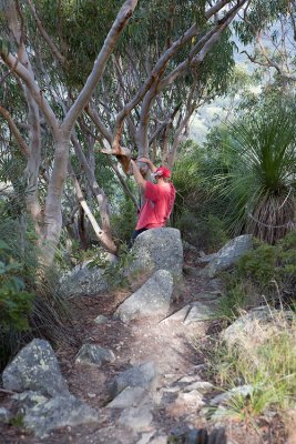 Mt. Cooroora