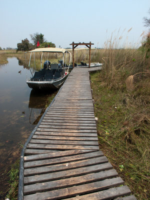Camp Okavango V