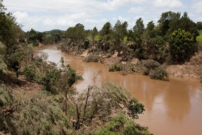 Queensland Floods