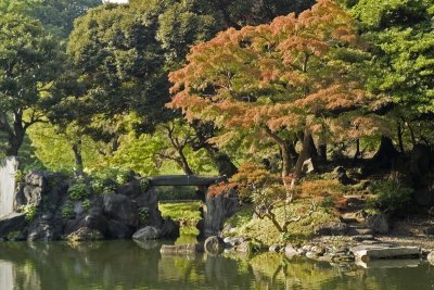 Gardens & Landscapes