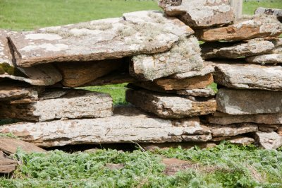Orkney drystone wall