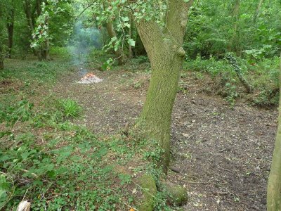 Pond Clearance