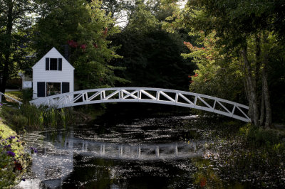 Bridge.jpg