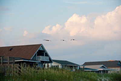 _DSC2546.jpg