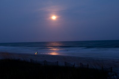 Beach10-7781.jpg