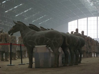 Horses being repaired