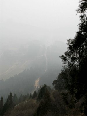 g1/84/478984/3/109364217.k2BAxwn2.jpg