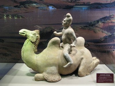 A Camel Rider