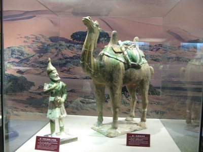 A Foreigner with Camel