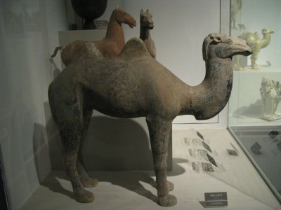 Terracotta Camel