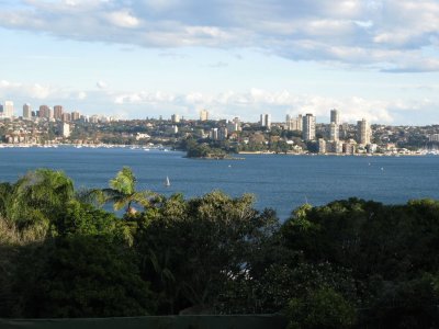 City seen from the Zoo