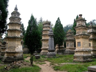 The Pagoda forest