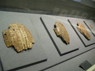 Jiagu, the oldest written Language on Shells