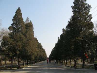 Road leading to the Temple