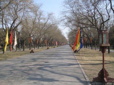 Road leading to the Temple