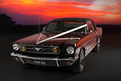 YZ0I0289.jpg