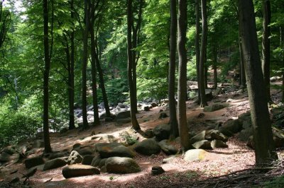 May - Walking through the Odenwald in Germany