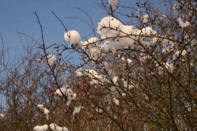 Snow in Yorkshire