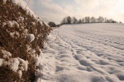 Snow in Yorkshire