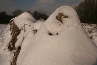 Snow in Yorkshire