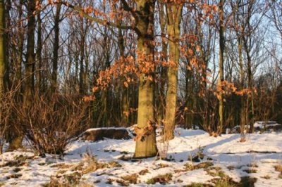 Snow in Yorkshire