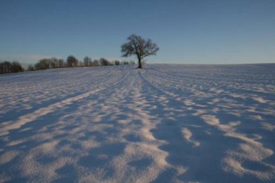 Snow in Yorkshire 2009